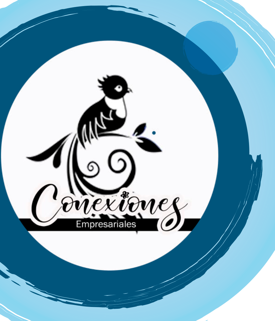 portal conexion